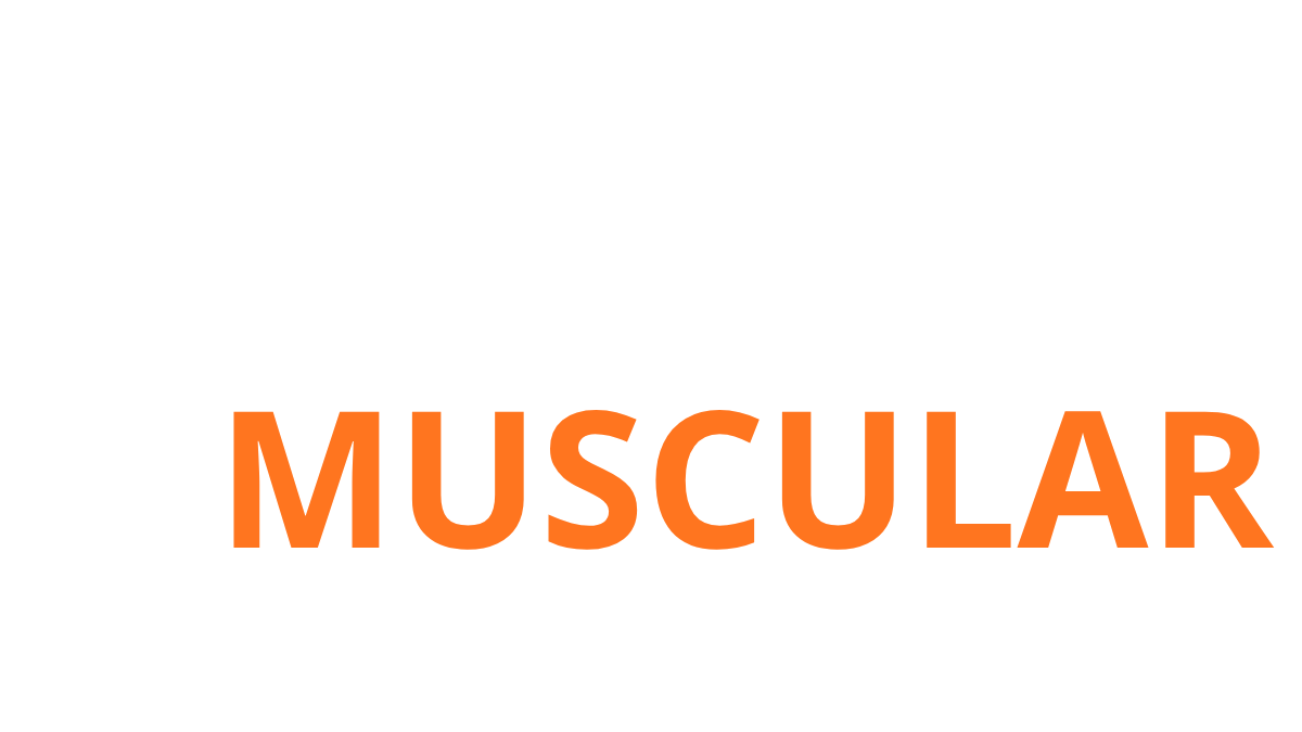 Logo masajemuscular.net — pistolas de masaje muscular